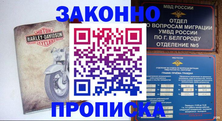 прописка для школы в Старой Руссе
